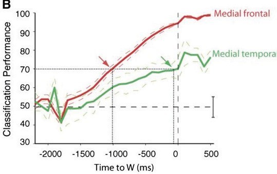 O livre-arbítrio não existe, dizem neurocientistas